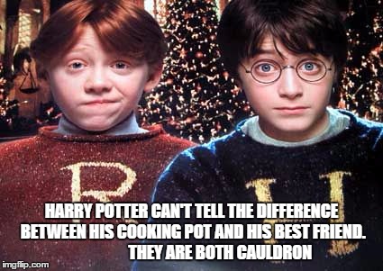 harry potter cant see the difference - Imgflip