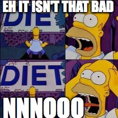 EH IT ISN'T THAT BAD; NNNOOO | image tagged in homer simpson | made w/ Imgflip meme maker