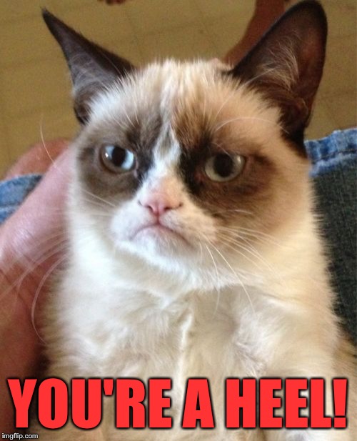 Grumpy Cat Meme | YOU'RE A HEEL! | image tagged in memes,grumpy cat | made w/ Imgflip meme maker