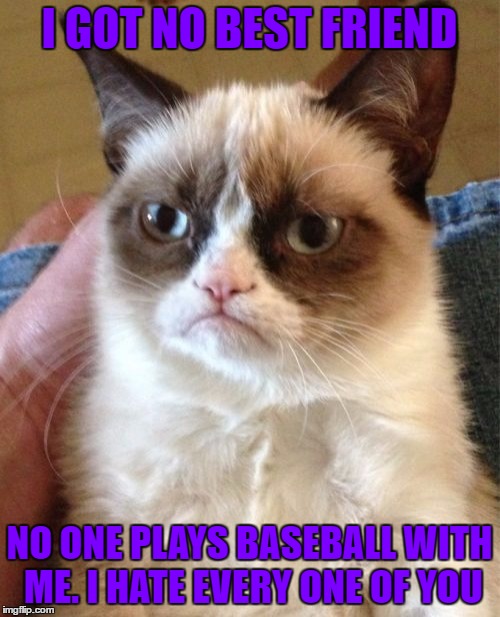 Grumpy Cat Meme | I GOT NO BEST FRIEND NO ONE PLAYS BASEBALL WITH ME. I HATE EVERY ONE OF YOU | image tagged in memes,grumpy cat | made w/ Imgflip meme maker