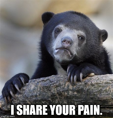 Confession Bear Meme | I SHARE YOUR PAIN. | image tagged in memes,confession bear | made w/ Imgflip meme maker