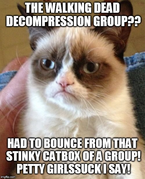 Grumpy Cat | THE WALKING DEAD DECOMPRESSION GROUP?? HAD TO BOUNCE FROM THAT STINKY CATBOX OF A GROUP! PETTY GIRLSSUCK I SAY! | image tagged in memes,grumpy cat | made w/ Imgflip meme maker