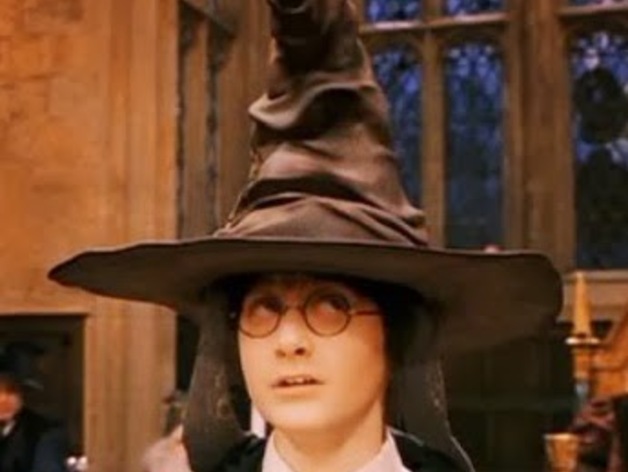 High Quality Harry Potter hat Blank Meme Template