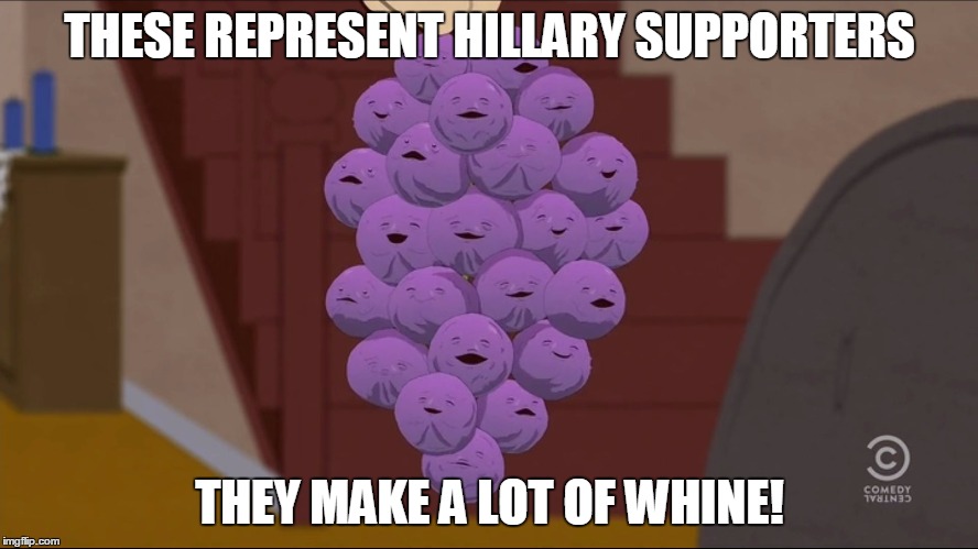 Member Berries | THESE REPRESENT HILLARY SUPPORTERS; THEY MAKE A LOT OF WHINE! | image tagged in memes,member berries | made w/ Imgflip meme maker
