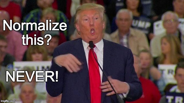 NEVER | Normalize this? NEVER! | image tagged in donald trump | made w/ Imgflip meme maker