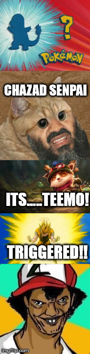 Chazad Senpai!!! | CHAZAD SENPAI; ITS.....TEEMO! TRIGGERED!! | image tagged in funny pokemon | made w/ Imgflip meme maker