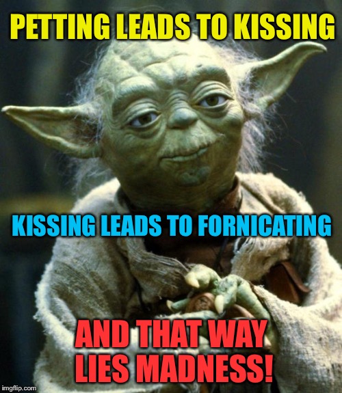 Star Wars Yoda | PETTING LEADS TO KISSING; KISSING LEADS TO FORNICATING; AND THAT WAY LIES MADNESS! | image tagged in memes,star wars yoda | made w/ Imgflip meme maker