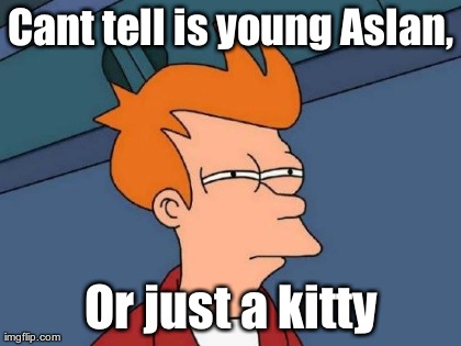 Futurama Fry Meme | Cant tell is young Aslan, Or just a kitty | image tagged in memes,futurama fry | made w/ Imgflip meme maker