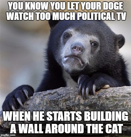 Confession Bear Meme | YOU KNOW YOU LET YOUR DOGE WATCH TOO MUCH POLITICAL TV WHEN HE STARTS BUILDING A WALL AROUND THE CAT | image tagged in memes,confession bear | made w/ Imgflip meme maker