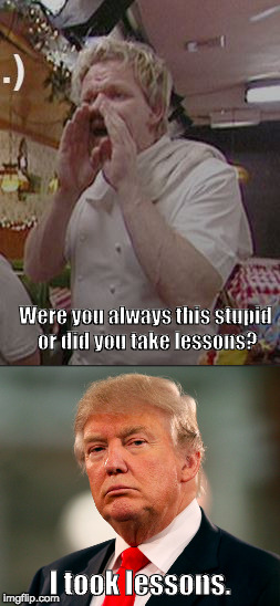 Were you always this stupid or did you take lessons? I took lessons. | image tagged in gordon,ramsey,donald,trump | made w/ Imgflip meme maker