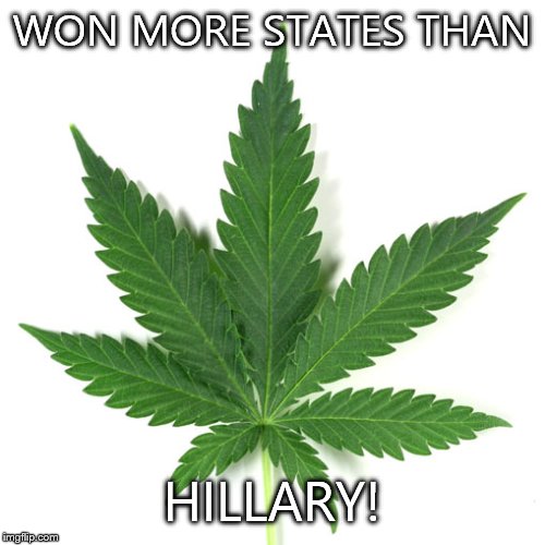 Marijuana leaf | WON MORE STATES THAN; HILLARY! | image tagged in marijuana leaf | made w/ Imgflip meme maker