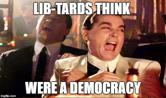 We are a Constitutional Representative Republic  | LIB-TARDS THINK; WERE A DEMOCRACY | image tagged in good fellas hilarious,sjws,stupid liberals,lib-tard,memes | made w/ Imgflip meme maker
