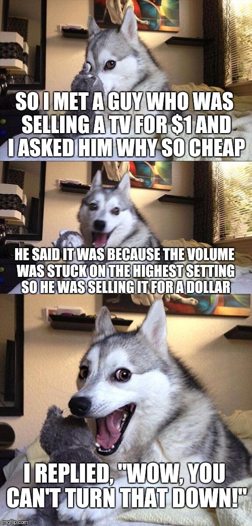 Bad Pun Dog Meme | SO I MET A GUY WHO WAS SELLING A TV FOR $1 AND I ASKED HIM WHY SO CHEAP; HE SAID IT WAS BECAUSE THE VOLUME WAS STUCK ON THE HIGHEST SETTING SO HE WAS SELLING IT FOR A DOLLAR; I REPLIED, "WOW, YOU CAN'T TURN THAT DOWN!" | image tagged in memes,bad pun dog | made w/ Imgflip meme maker