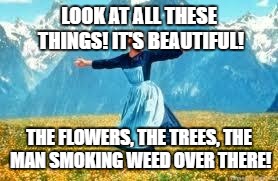 Look At All These | LOOK AT ALL THESE THINGS! IT'S BEAUTIFUL! THE FLOWERS, THE TREES, THE MAN SMOKING WEED OVER THERE! | image tagged in memes,look at all these | made w/ Imgflip meme maker