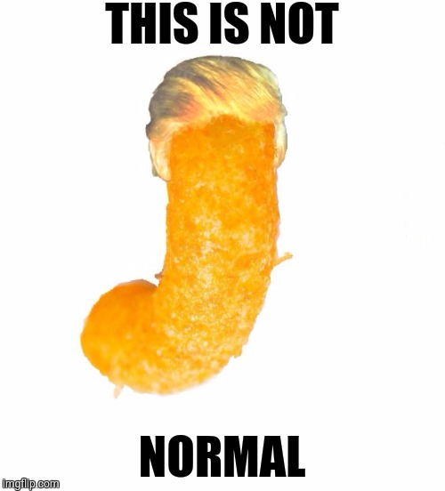 The Orange One | THIS IS NOT; NORMAL | image tagged in the orange one | made w/ Imgflip meme maker