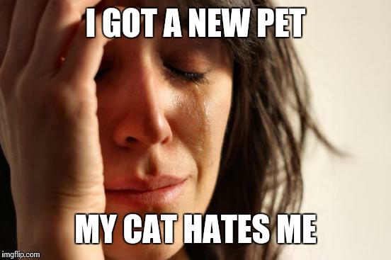 He won't accept a hug without giving me a new scar. | I GOT A NEW PET; MY CAT HATES ME | image tagged in memes,first world problems | made w/ Imgflip meme maker