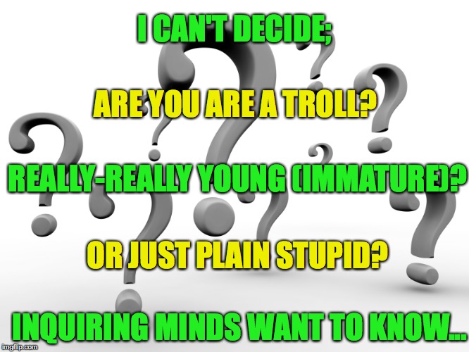 Question marks | I CAN'T DECIDE;; ARE YOU ARE A TROLL? REALLY-REALLY YOUNG (IMMATURE)? OR JUST PLAIN STUPID? INQUIRING MINDS WANT TO KNOW... | image tagged in question marks | made w/ Imgflip meme maker