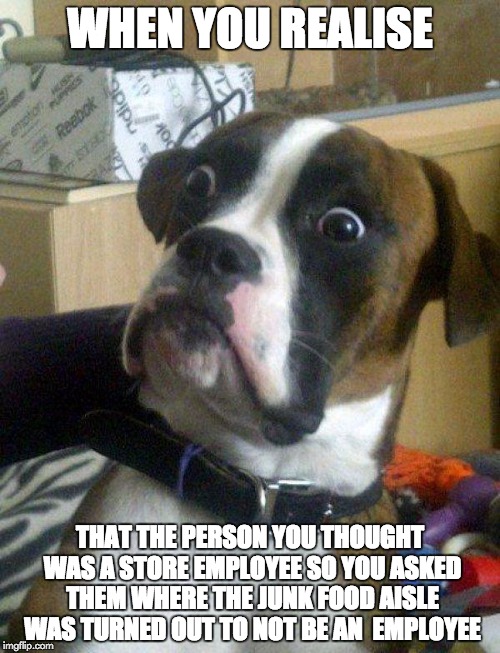Ssh, just sneak away and they might not notice you... | WHEN YOU REALISE; THAT THE PERSON YOU THOUGHT WAS A STORE EMPLOYEE SO YOU ASKED THEM WHERE THE JUNK FOOD AISLE WAS TURNED OUT TO NOT BE AN  EMPLOYEE | image tagged in blankie the shocked dog | made w/ Imgflip meme maker