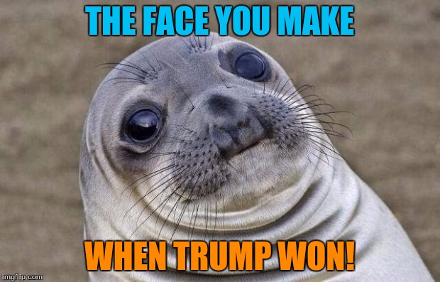 Awkward Moment Sealion | THE FACE YOU MAKE; WHEN TRUMP WON! | image tagged in memes,awkward moment sealion | made w/ Imgflip meme maker