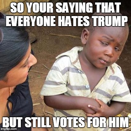 Third World Skeptical Kid | SO YOUR SAYING THAT EVERYONE HATES TRUMP; BUT STILL VOTES FOR HIM | image tagged in memes,third world skeptical kid | made w/ Imgflip meme maker