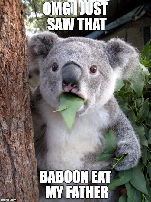 Koala meme | OMG I JUST SAW THAT; BABOON EAT MY FATHER | image tagged in memes,surprised koala,omg | made w/ Imgflip meme maker