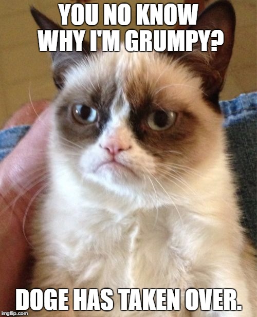 Grumpy Cat Meme | YOU NO KNOW WHY I'M GRUMPY? DOGE HAS TAKEN OVER. | image tagged in memes,grumpy cat,funny cats,funny animals,too funny | made w/ Imgflip meme maker