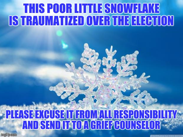 A note from a liberal Mom | THIS POOR LITTLE SNOWFLAKE IS TRAUMATIZED OVER THE ELECTION; PLEASE EXCUSE IT FROM ALL RESPONSIBILITY AND SEND IT TO A GRIEF COUNSELOR | image tagged in snowflake | made w/ Imgflip meme maker
