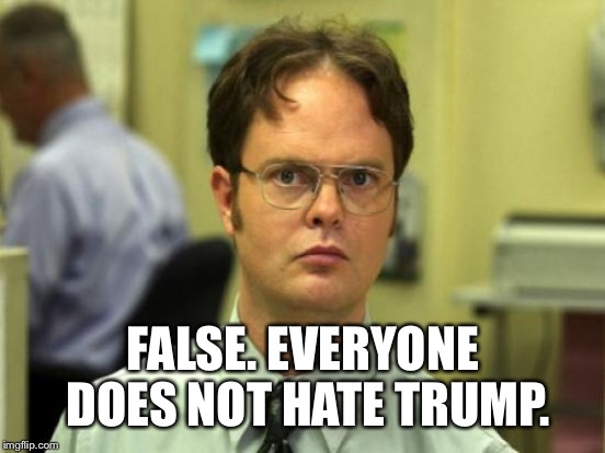 FALSE. EVERYONE DOES NOT HATE TRUMP. | made w/ Imgflip meme maker