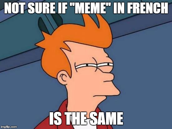 Futurama Fry - French word for meme | NOT SURE IF "MEME" IN FRENCH; IS THE SAME | image tagged in memes,futurama fry,french | made w/ Imgflip meme maker
