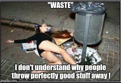 "WASTE"; I don't understand why people throw perfectly good stuff away ! | image tagged in repurposing | made w/ Imgflip meme maker
