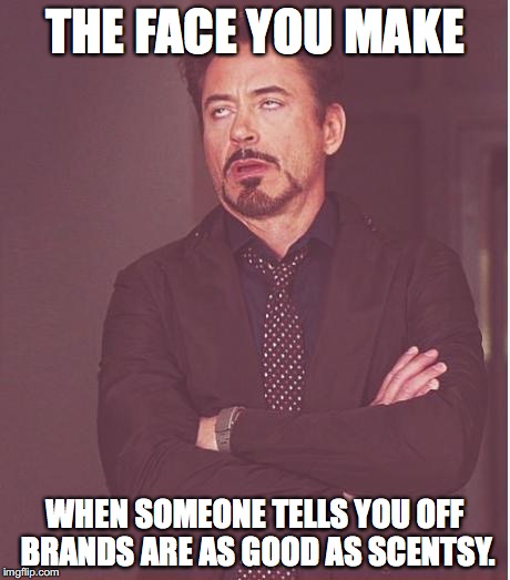 Face You Make Robert Downey Jr Meme | THE FACE YOU MAKE; WHEN SOMEONE TELLS YOU OFF BRANDS ARE AS GOOD AS SCENTSY. | image tagged in memes,face you make robert downey jr | made w/ Imgflip meme maker