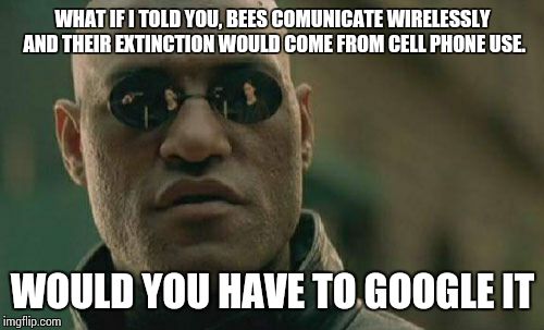 Matrix Morpheus Meme | WHAT IF I TOLD YOU, BEES COMUNICATE WIRELESSLY AND THEIR EXTINCTION WOULD COME FROM CELL PHONE USE. WOULD YOU HAVE TO GOOGLE IT | image tagged in memes,matrix morpheus | made w/ Imgflip meme maker