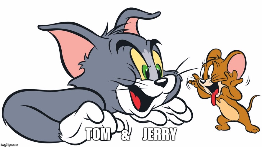 TOM    &     JERRY | image tagged in tom  jerry | made w/ Imgflip meme maker