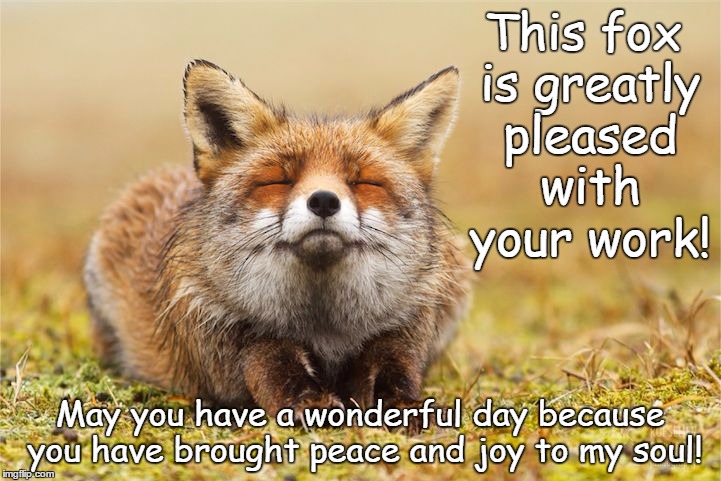 Inner Peace Fox | This fox is greatly pleased with your work! May you have a wonderful day because you have brought peace and joy to my soul! | image tagged in inner peace fox | made w/ Imgflip meme maker