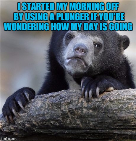 Confession Bear | I STARTED MY MORNING OFF BY USING A PLUNGER IF YOU'RE WONDERING HOW MY DAY IS GOING | image tagged in memes,confession bear | made w/ Imgflip meme maker