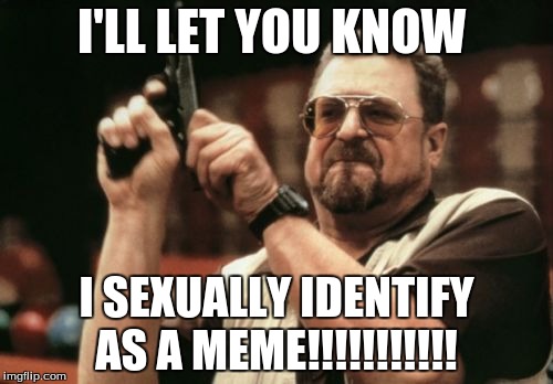 Am I The Only One Around Here | I'LL LET YOU KNOW; I SEXUALLY IDENTIFY AS A MEME!!!!!!!!!!! | image tagged in memes,am i the only one around here | made w/ Imgflip meme maker