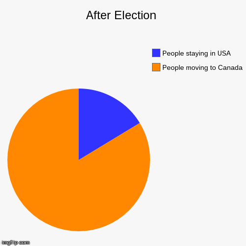 What people are doing since Trump has gotten elected | image tagged in funny,pie charts,president | made w/ Imgflip chart maker