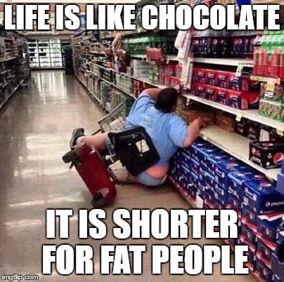 Fat Person Falling Over | LIFE IS LIKE CHOCOLATE; IT IS SHORTER FOR FAT PEOPLE | image tagged in fat person falling over | made w/ Imgflip meme maker
