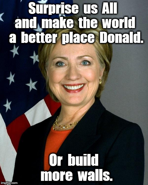 Hillary Clinton Meme | Surprise  us  All  and  make  the  world  a  better  place  Donald. Or  build  more  walls. | image tagged in memes,hillary clinton | made w/ Imgflip meme maker