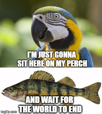 I'M JUST GONNA SIT HERE ON MY PERCH AND WAIT FOR THE WORLD TO END | made w/ Imgflip meme maker