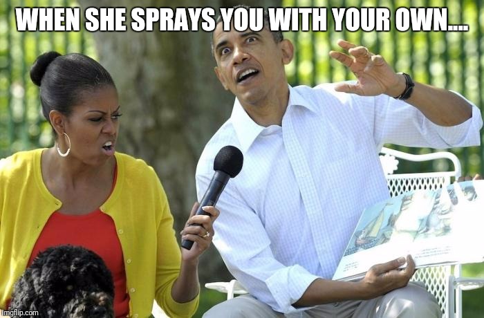 Well she is first lady... | WHEN SHE SPRAYS YOU WITH YOUR OWN.... | image tagged in memes,barack obama,michelle obama,first lady,weapons | made w/ Imgflip meme maker