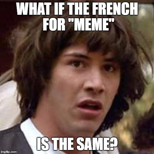 Conspiracy Keanu - French for meme | WHAT IF THE FRENCH FOR "MEME"; IS THE SAME? | image tagged in memes,conspiracy keanu,french | made w/ Imgflip meme maker