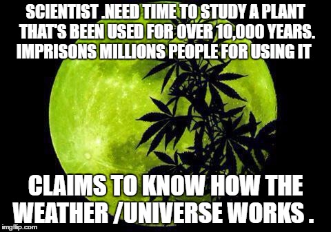 weed  | SCIENTIST .NEED TIME TO STUDY A PLANT THAT'S BEEN USED FOR OVER 10,000 YEARS. IMPRISONS MILLIONS PEOPLE FOR USING IT; CLAIMS TO KNOW HOW THE WEATHER /UNIVERSE WORKS . | image tagged in weed | made w/ Imgflip meme maker