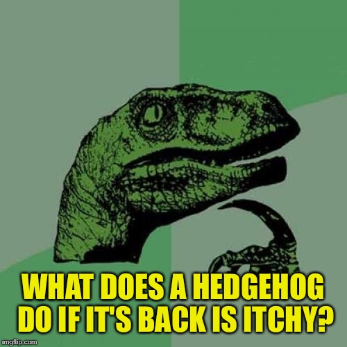 Feel sorry for those blimey buggers, I'm hungry. | WHAT DOES A HEDGEHOG DO IF IT'S BACK IS ITCHY? | image tagged in memes,philosoraptor,hedgehog,funny memes,dank memes | made w/ Imgflip meme maker