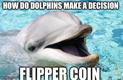 Dumb Joke Dolphin | HOW DO DOLPHINS MAKE A DECISION; FLIPPER COIN | image tagged in dumb joke dolphin | made w/ Imgflip meme maker