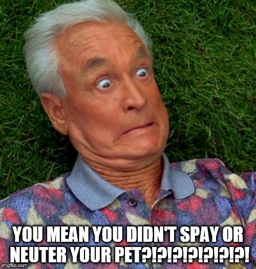Bob Barker what? | YOU MEAN YOU DIDN'T SPAY OR NEUTER YOUR PET?!?!?!?!?!?!?! | image tagged in bob barker | made w/ Imgflip meme maker