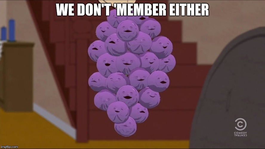 Member Berries Meme | WE DON'T 'MEMBER EITHER | image tagged in memes,member berries | made w/ Imgflip meme maker