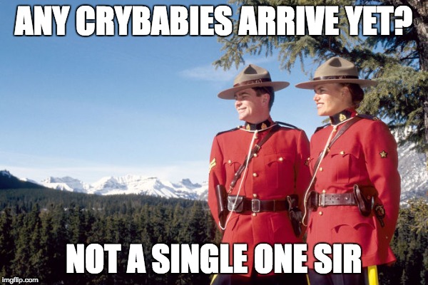ANY CRYBABIES ARRIVE YET? NOT A SINGLE ONE SIR | made w/ Imgflip meme maker