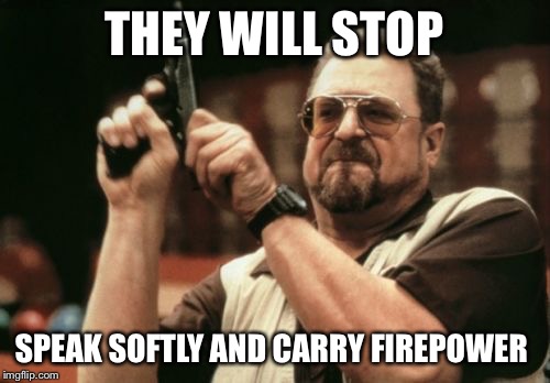 Am I The Only One Around Here Meme | THEY WILL STOP SPEAK SOFTLY AND CARRY FIREPOWER | image tagged in memes,am i the only one around here | made w/ Imgflip meme maker