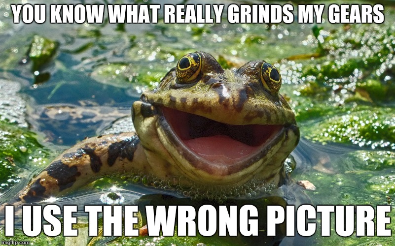 YOU KNOW WHAT REALLY GRINDS MY GEARS; I USE THE WRONG PICTURE | image tagged in happy frog | made w/ Imgflip meme maker